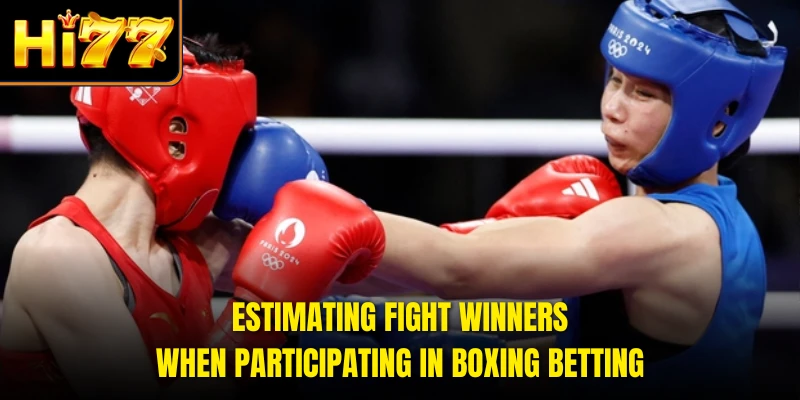 Estimating fight winners when participating in boxing betting